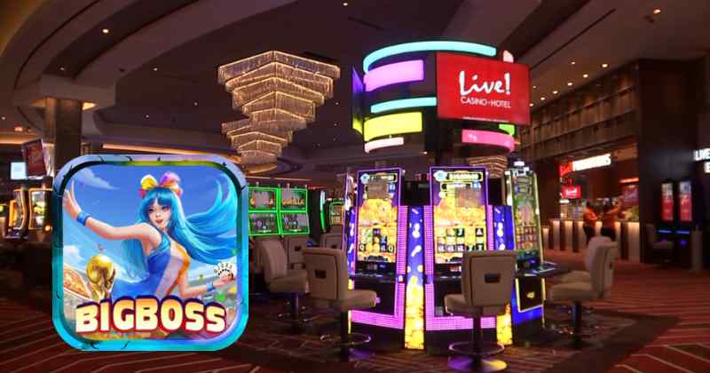 Giới Thiệu Dịch Vụ Live Casino Của Cổng Game Bigboss.jpg